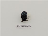 藏品(綠艷白點花金龜)的圖片